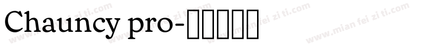 Chauncy pro字体转换